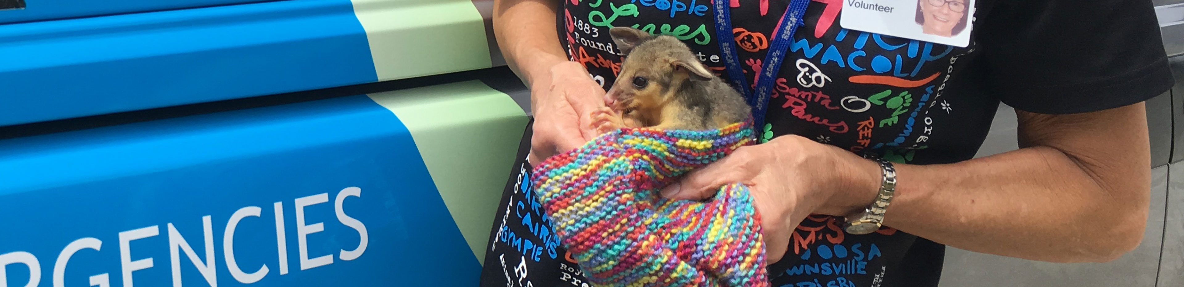 RSPCA animal ambulance driver holding baby possum